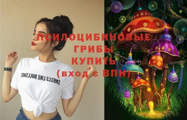 стафф Касимов