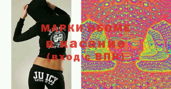 стафф Касимов