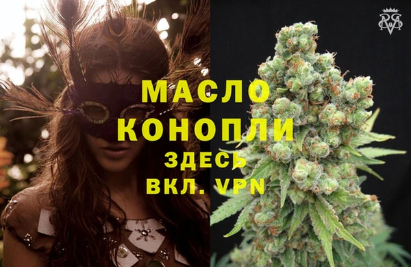 индика Киров